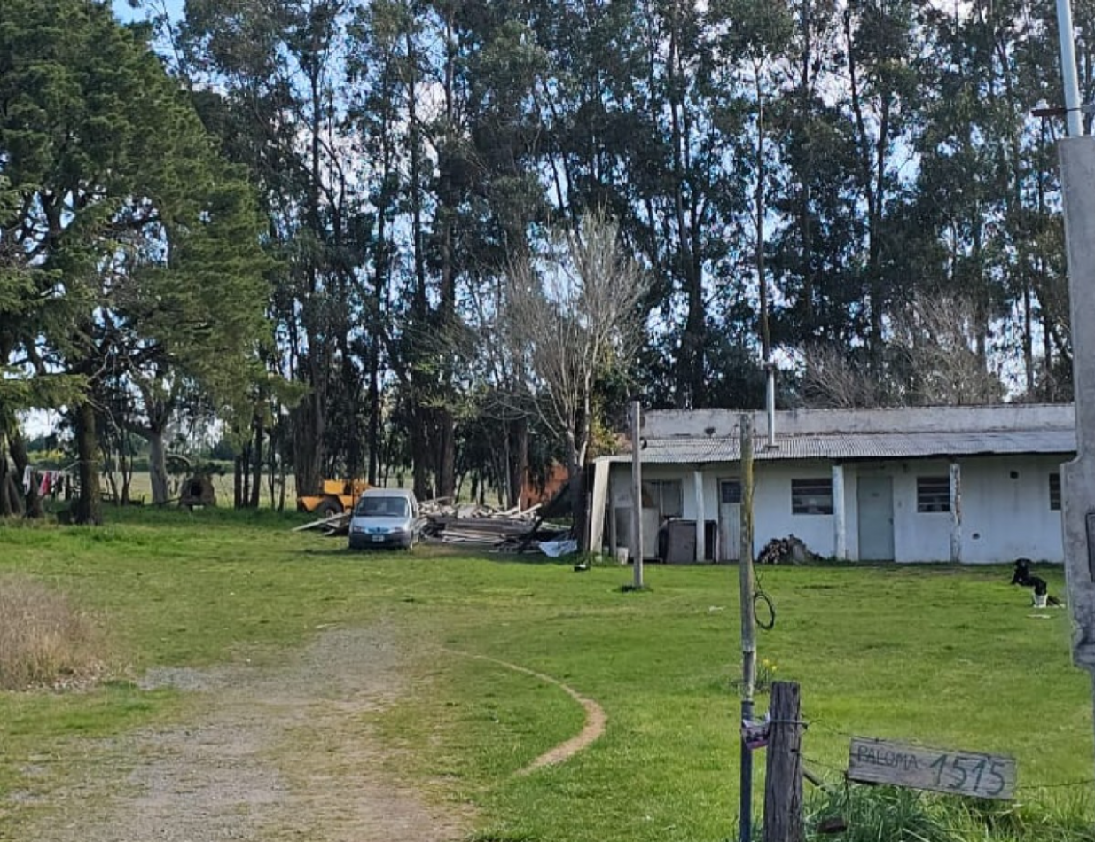 VENTA CASA QUINTA ZONA LA ELENA 