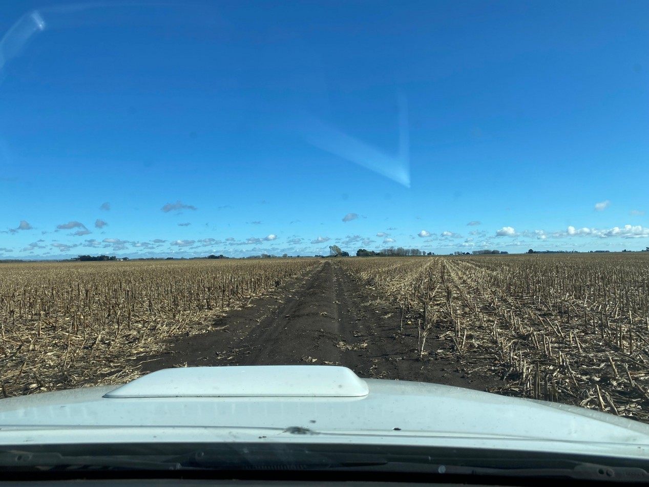 VENTA CAMPO AGRICOLA 431 HAS PARDIDO DE TANDIL