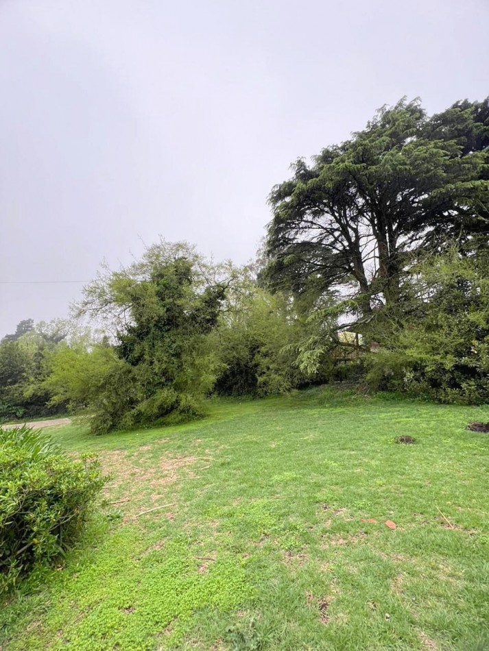 Lote de 784m2 con servicios en Sierra de los Padres