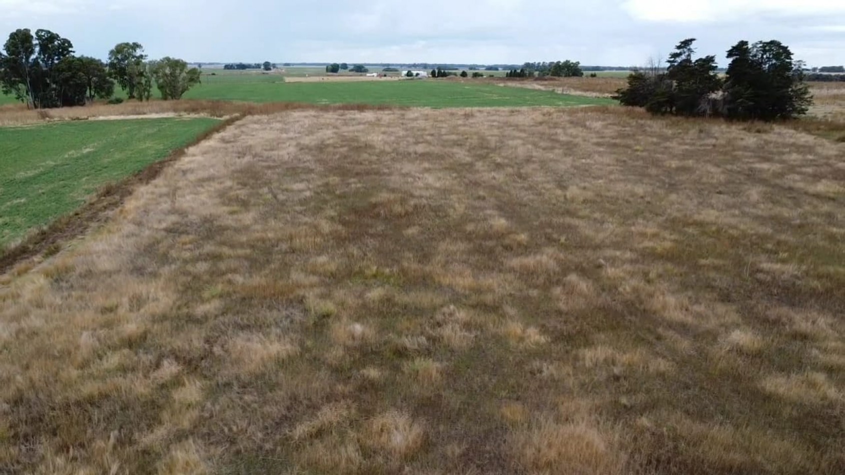 VENTA 3 HECTAREAS EN TANDIL