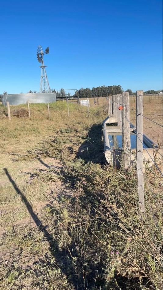 Quinta 5 ha Ayacucho con molino y acceso mejorado