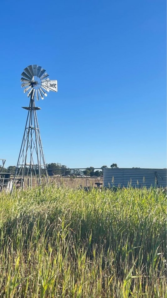 Quinta 5 ha Ayacucho con molino y acceso mejorado