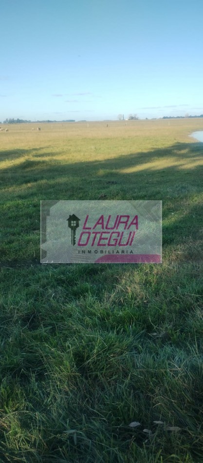 VENTA CAMPO GANADERO 302 HECTAREAS ZONA LABARDEN