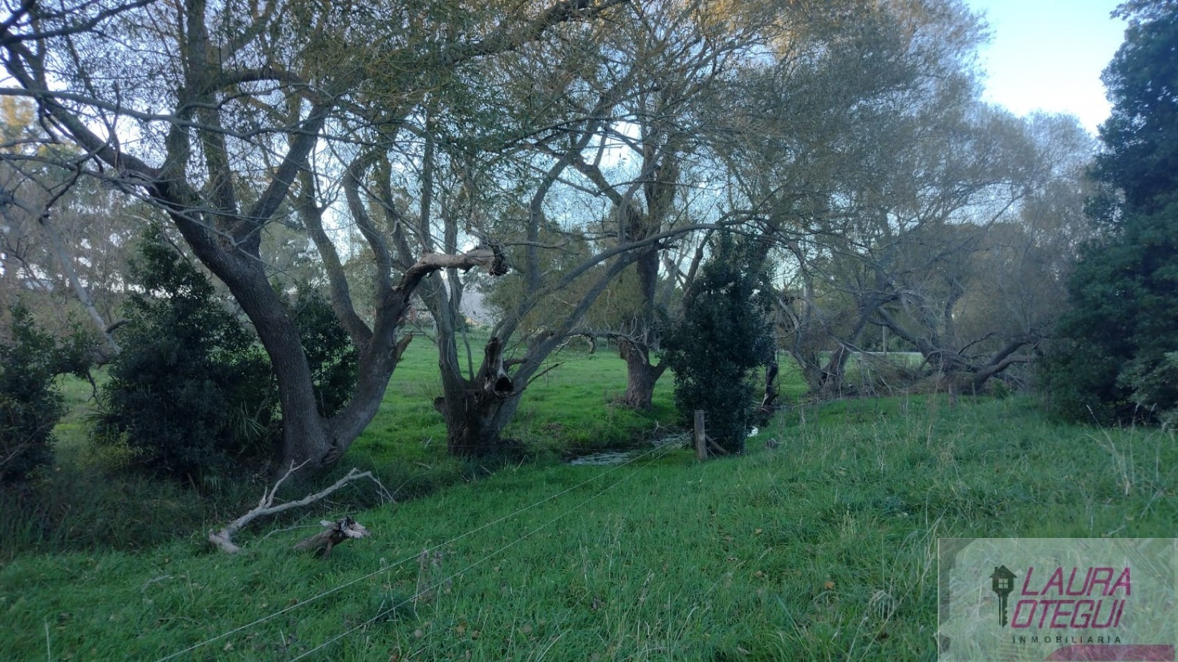 VENTA CASA QUINTA 13.000 MTS 