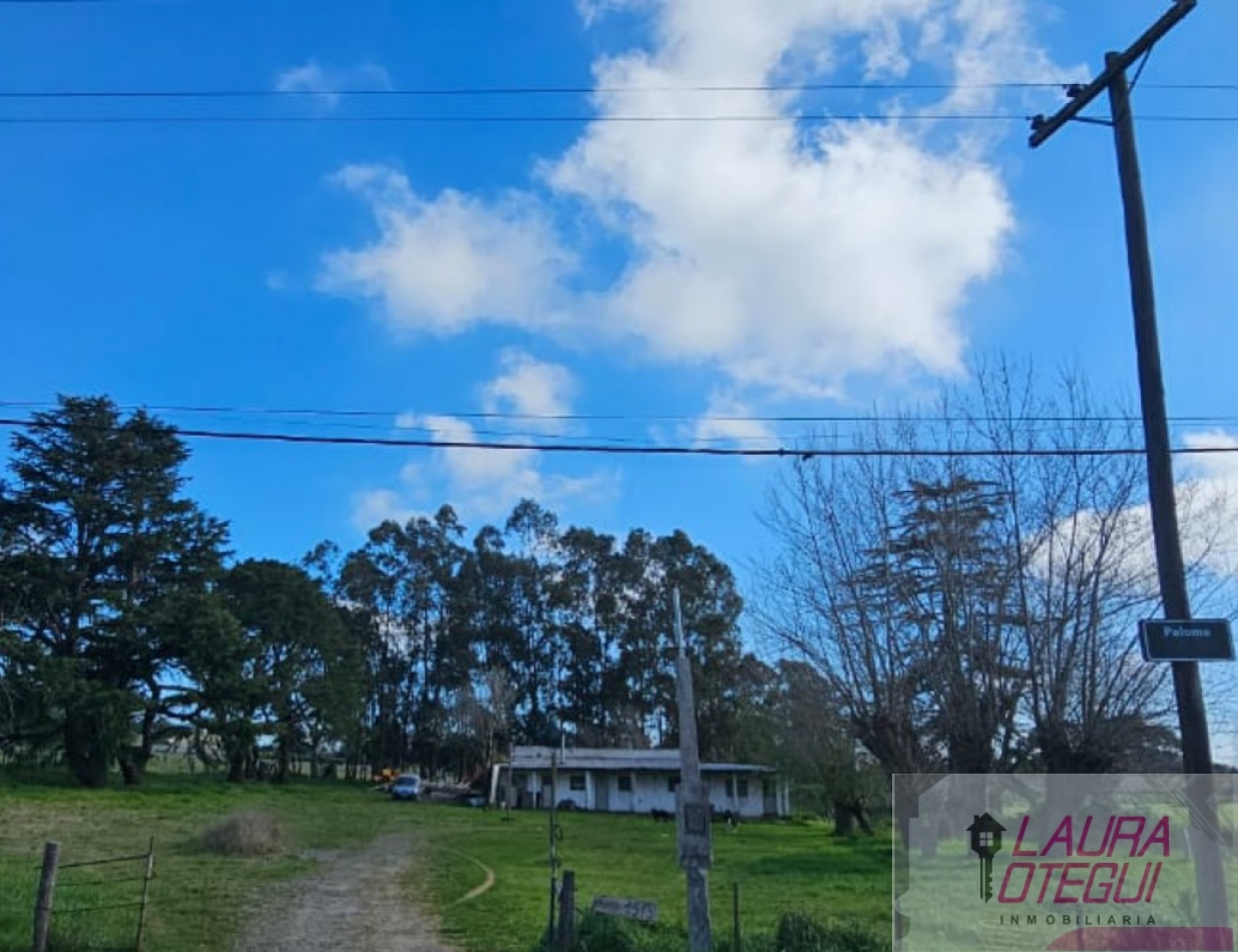 VENTA CASA QUINTA ZONA LA ELENA 