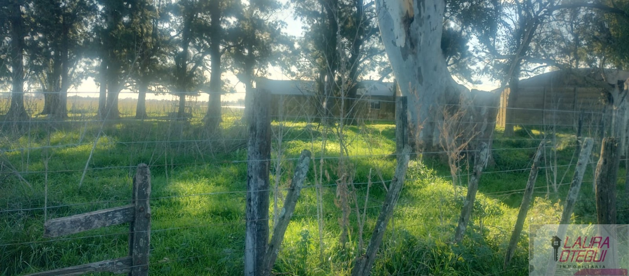 VENTA CAMPO GANADERO 302 HECTAREAS ZONA LABARDEN