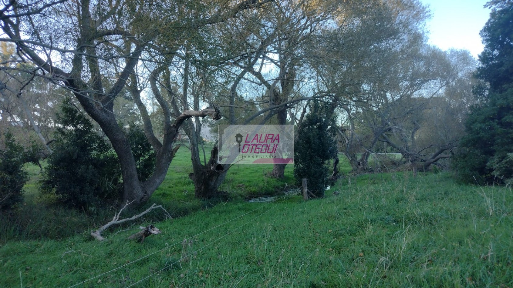 VENTA CASA QUINTA 13.000 MTS 