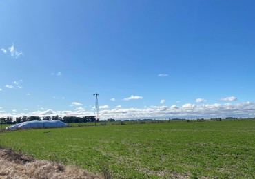 VENTA CAMPO AGRICOLA 431 HAS PARDIDO DE TANDIL