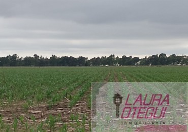 VENTA CAMPO MIXTO 130 HAS PARTIDO DE AYACUCHO