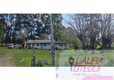 VENTA CASA QUINTA ZONA LA ELENA 