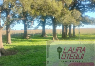 VENTA CAMPO GANADERO 302 HECTAREAS ZONA LABARDEN