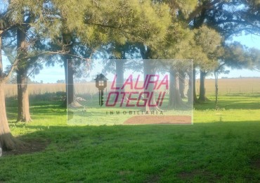 VENTA CAMPO GANADERO 302 HECTAREAS ZONA LABARDEN